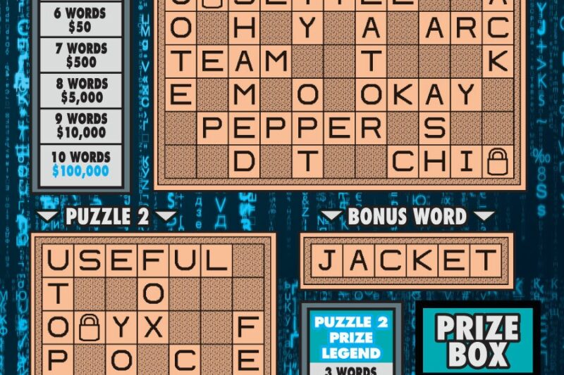 Safecracker Crossword Puzzle Clue
