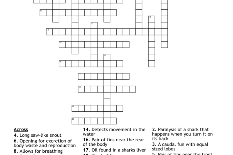Shark Crossword Puzzle