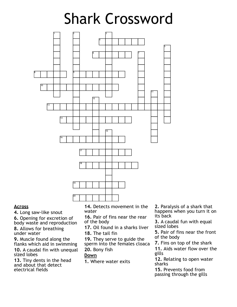 Shark Crossword WordMint