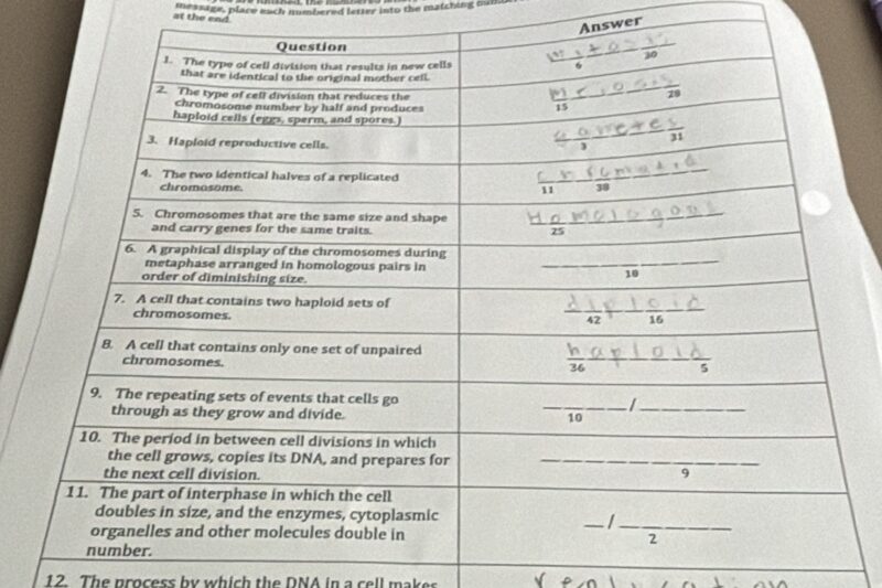 Station Cell Division Acrostic Puzzle Worksheet