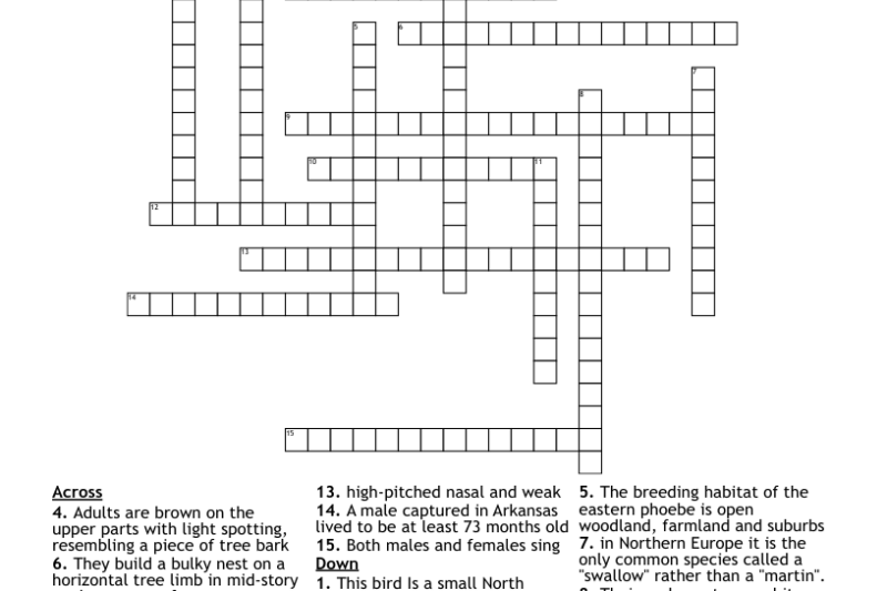 Songbird Crossword Puzzle