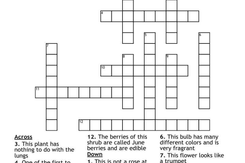 Brighten Crossword Puzzle Clue