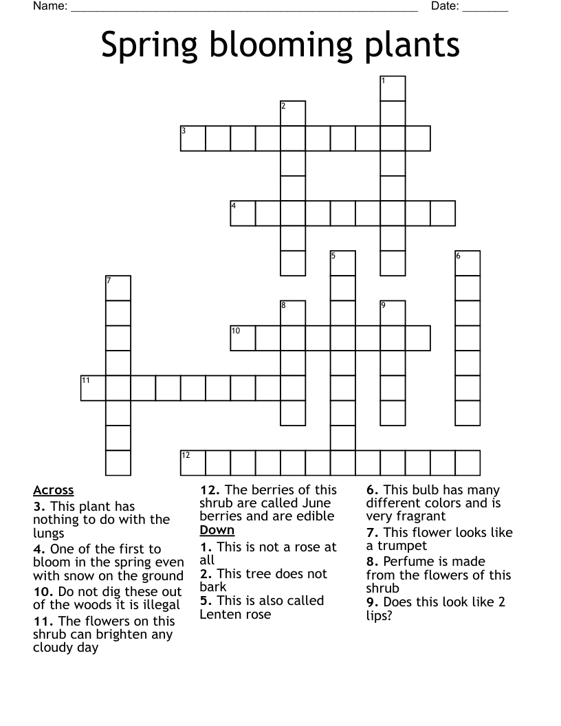 Spring Blooming Plants Crossword WordMint
