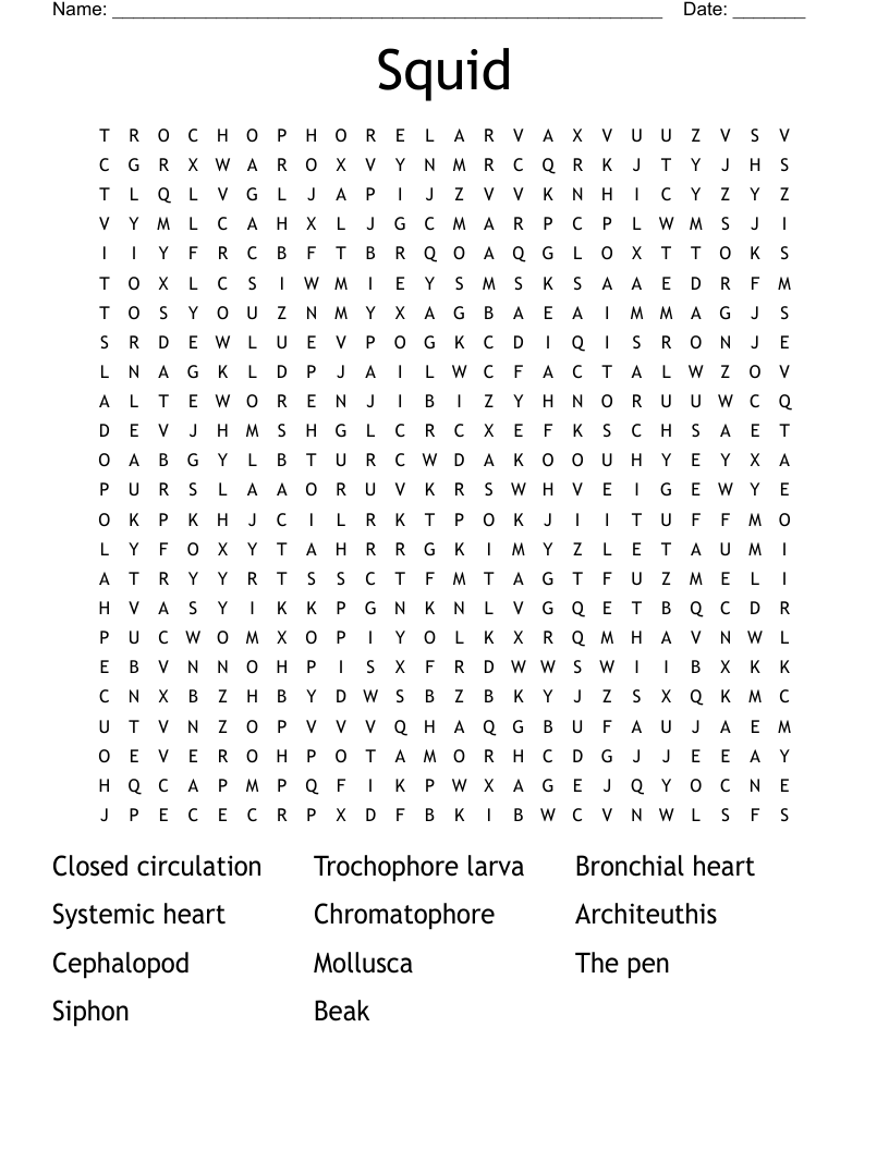 Squid Word Search WordMint