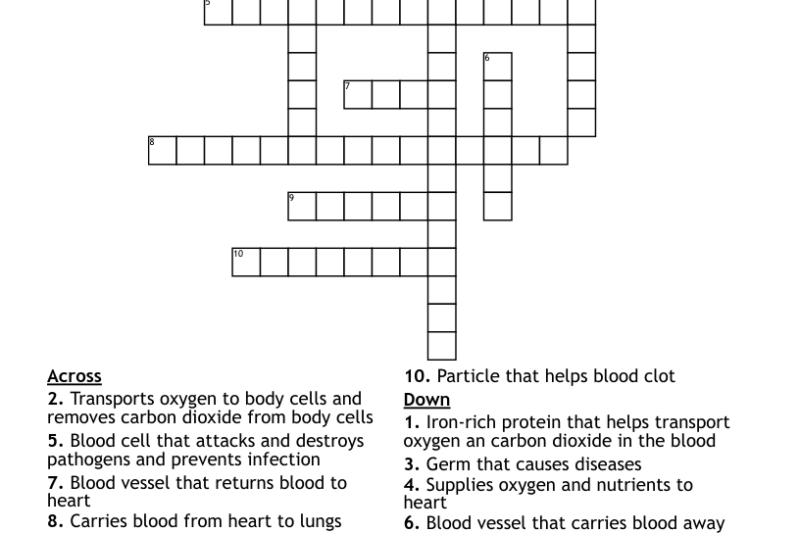 Cardiovascular System Crossword Puzzle