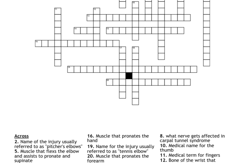 Elbow Crossword Puzzle Clue