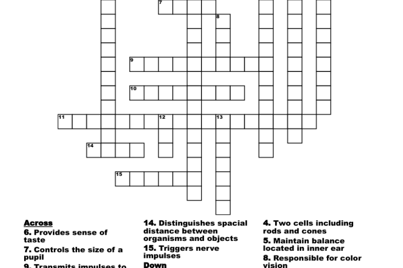 Sense Crossword Puzzle Clue