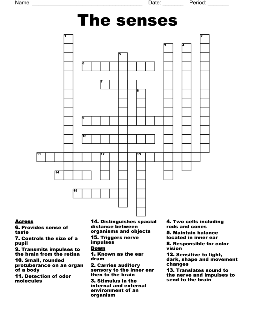 The Senses Crossword WordMint