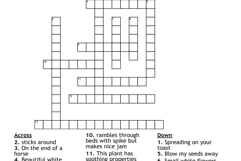 Wood Sorrels Crossword Puzzle Clue
